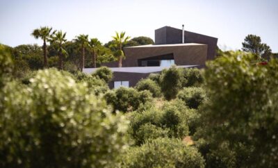 Villa Osorno, chimenea y piscina infinity